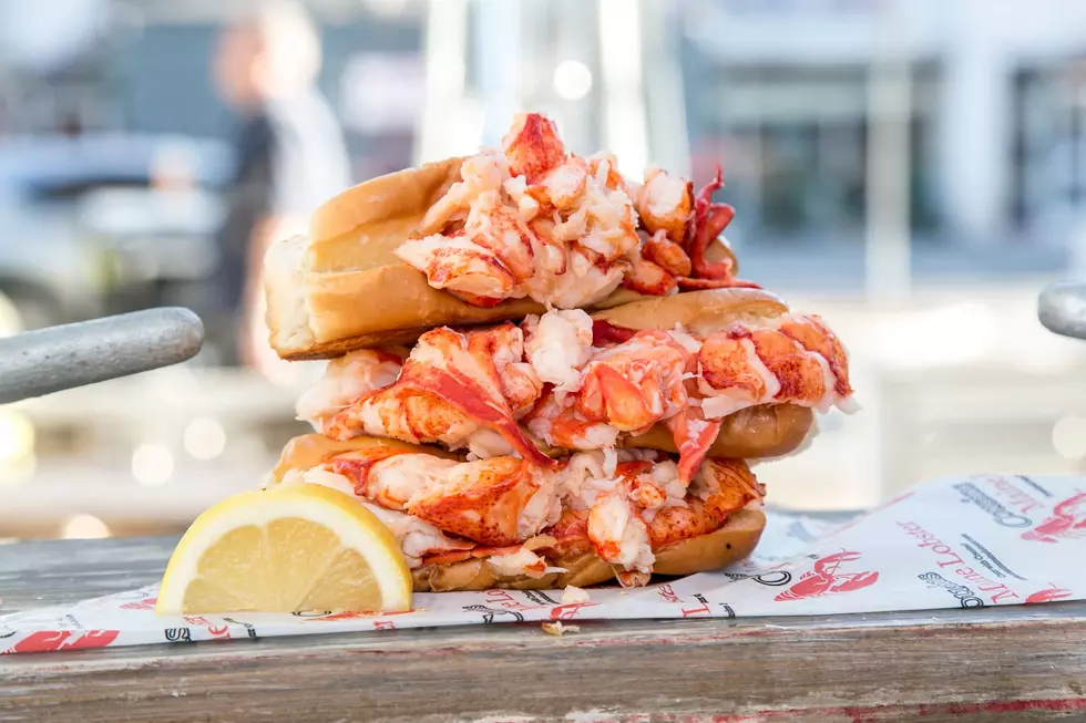 Best Maine Lobster Rolls with a Side of Western MA Cannabis 