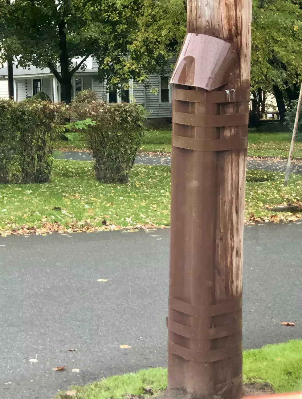 What’s Does the Brown Metal Case on Massachusetts Utility Poles Mean?