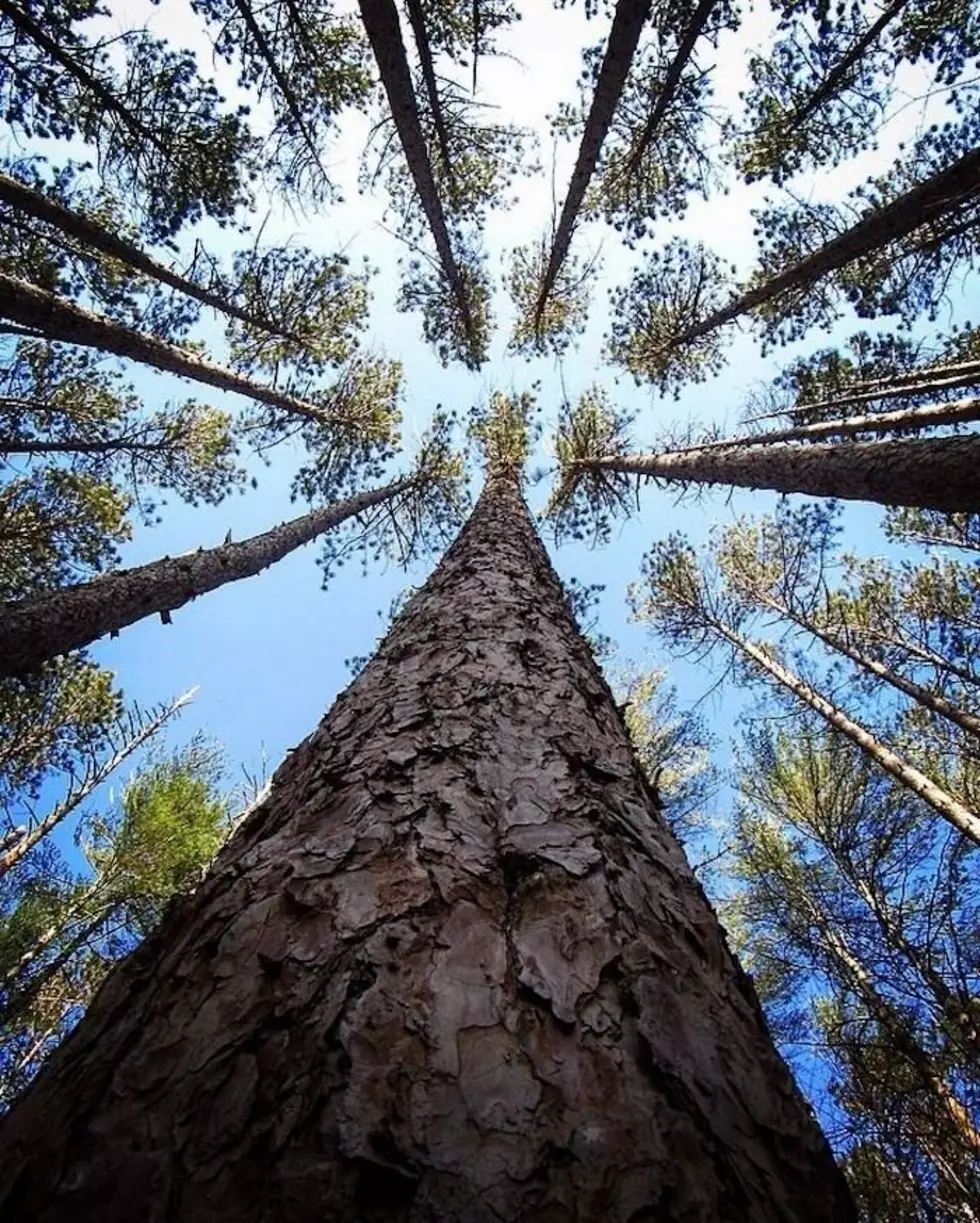 Mohawk Trail State Forest Facebook