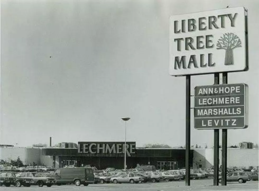 Here’s Why They Put Trees In Massachusetts Malls Back In The Day