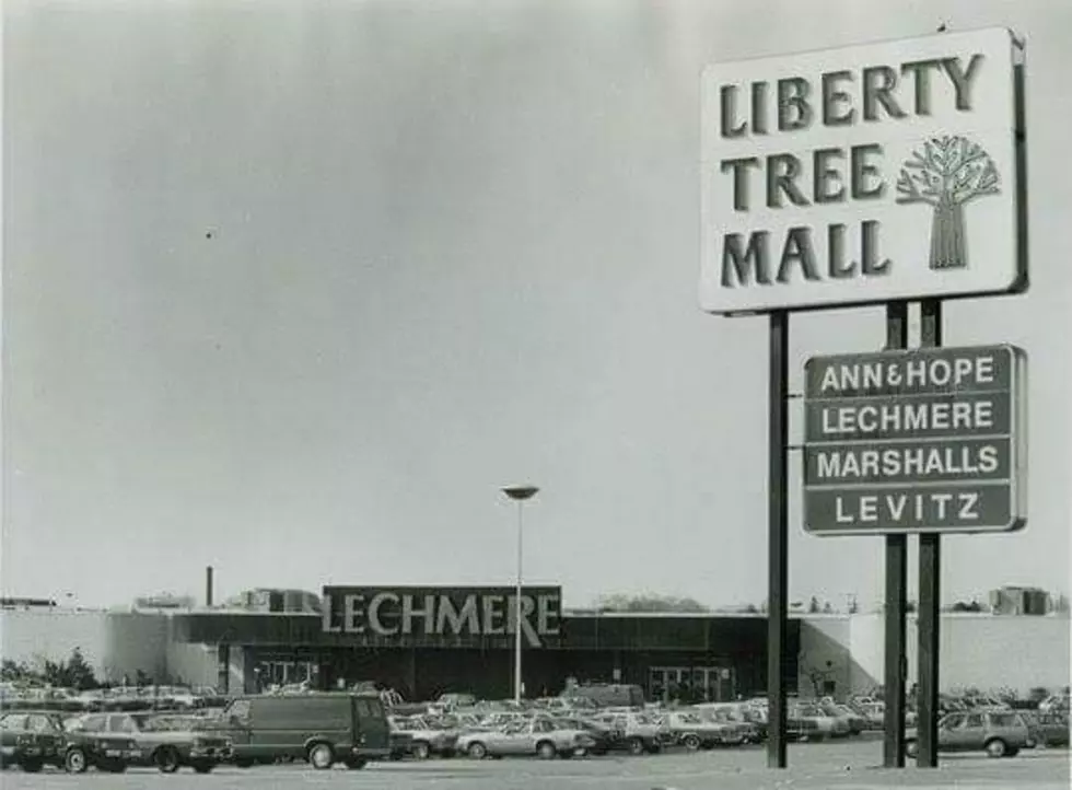 Here&#8217;s Why They Put Trees In Massachusetts Malls Back In The Day