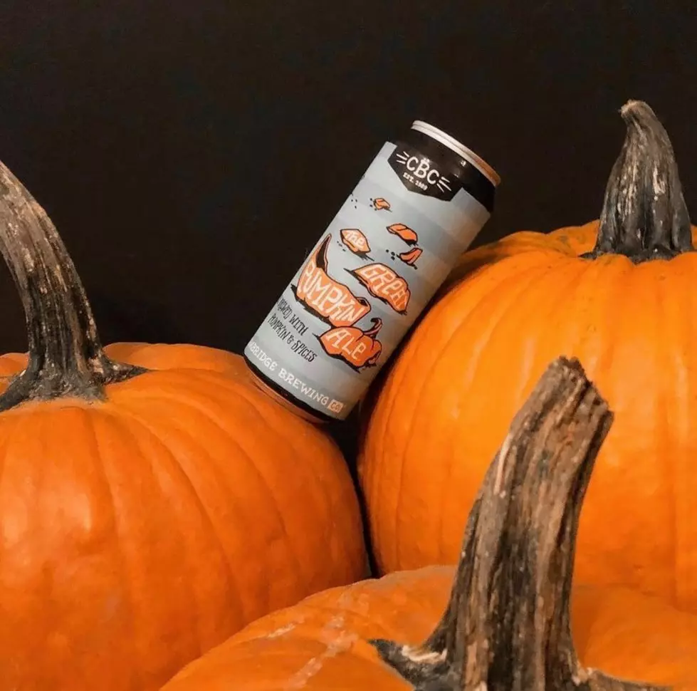 BOO-Brews! 15 Most Delicious Pumpkin Beers Made in Massachusetts