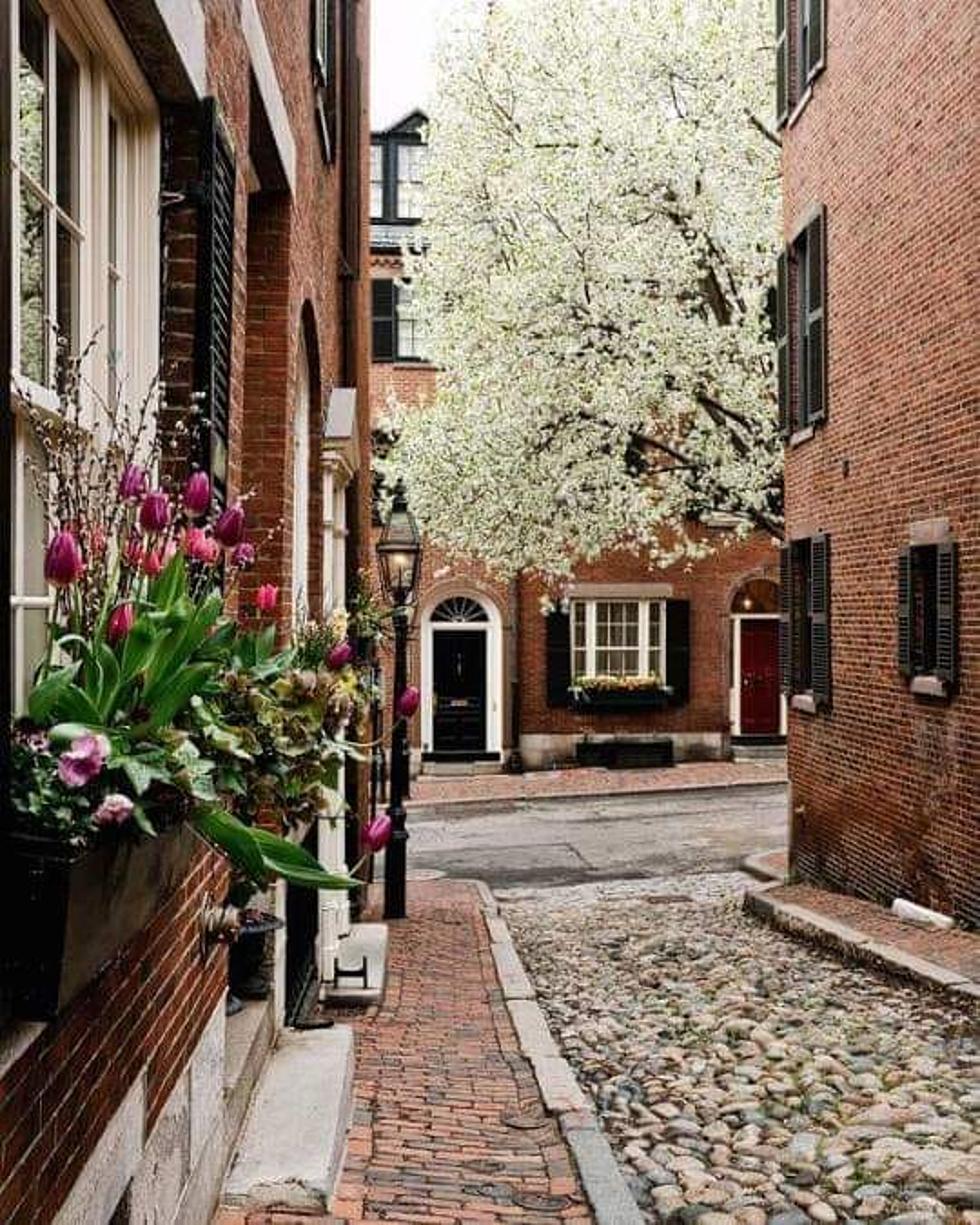 This Massachusetts Street Made List of the Most Beautiful in The World