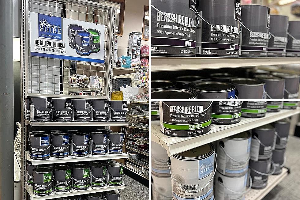 Have You Tried the Berkshires New Local Paint Line?