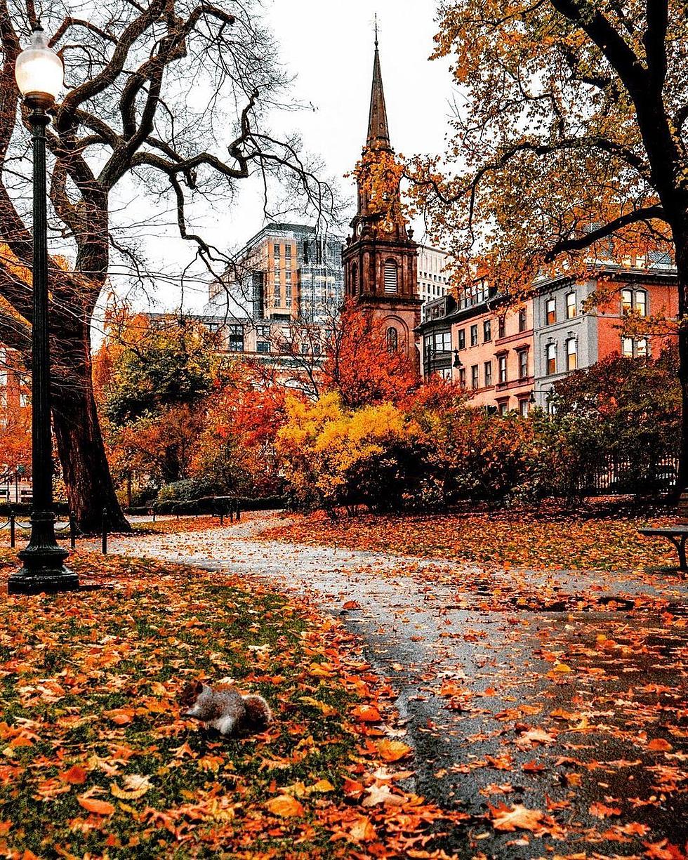 This Massachusetts City Was Named 2023’s Best October Travel Destination