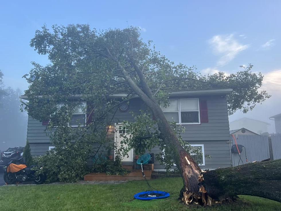 Western Mass. Residents Share Storm Damage Photos