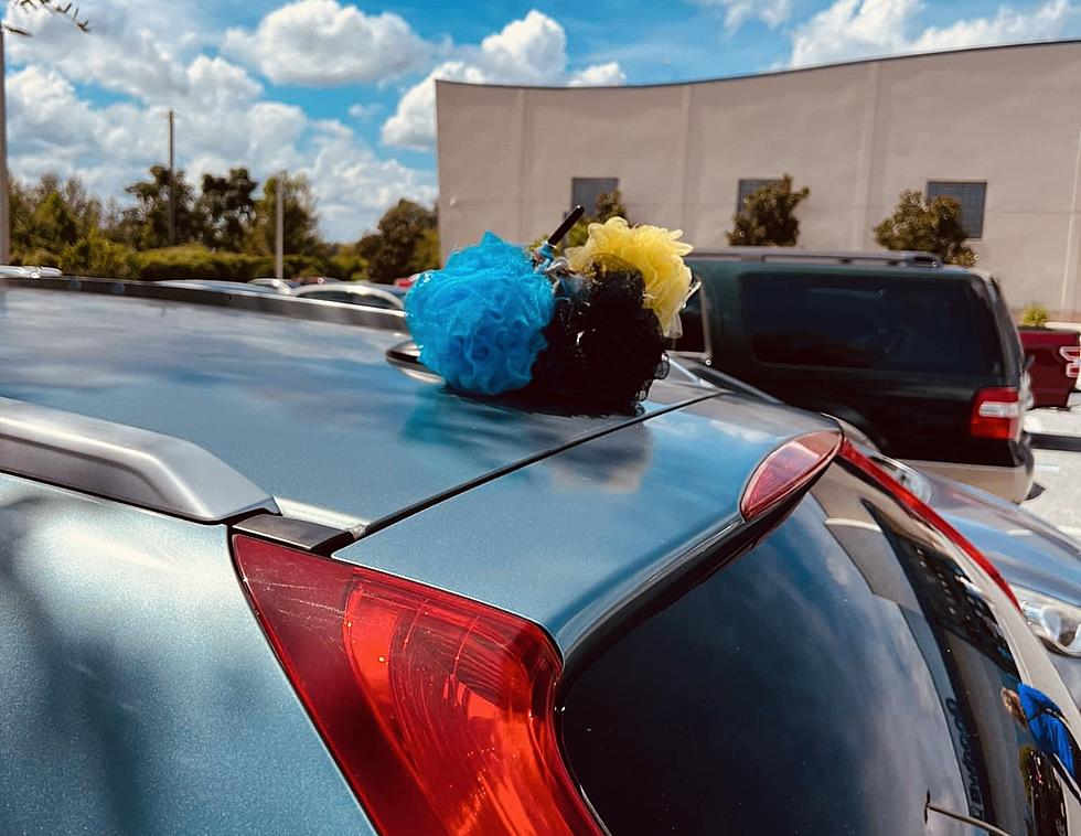 Loofahs On Cars In Massachusetts Are Sure To Shock Grandma