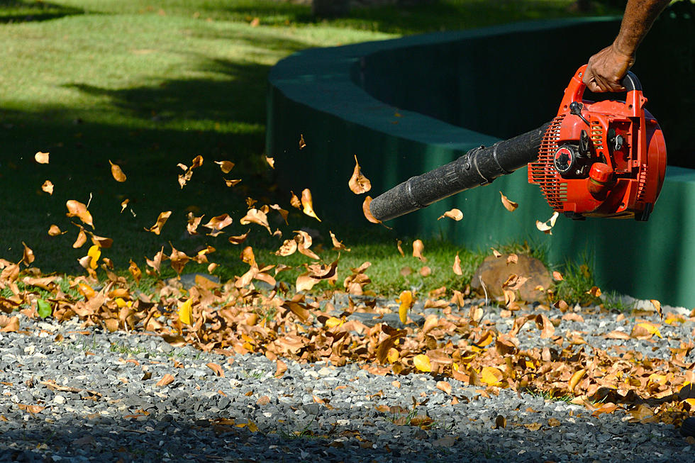 These 8 Massachusetts Towns & Cities Have Leaf Blower Bans