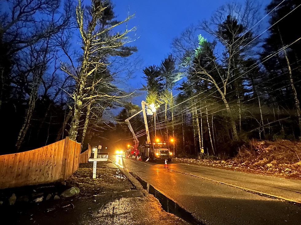 ALERT: 5 Trees Likely To Knock Out Power In Massachusetts