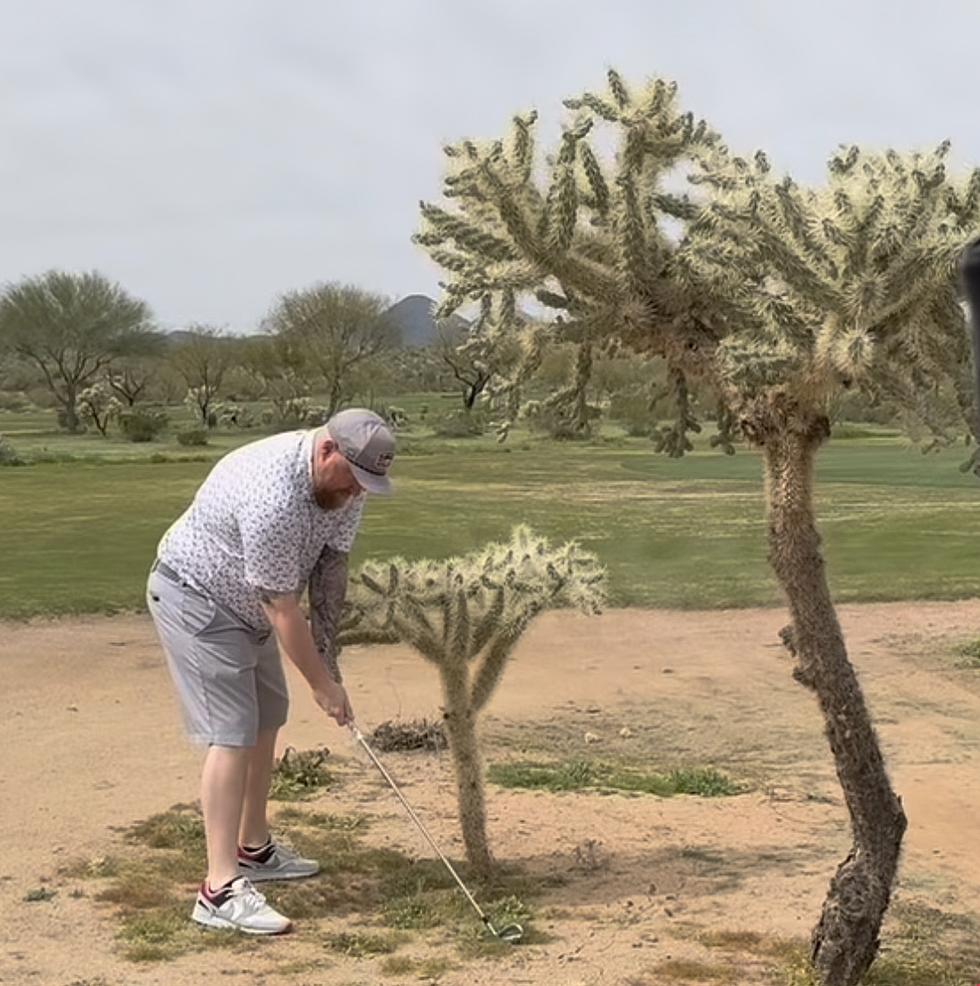 Cactus Attacks Man From MA In Viral Video 
