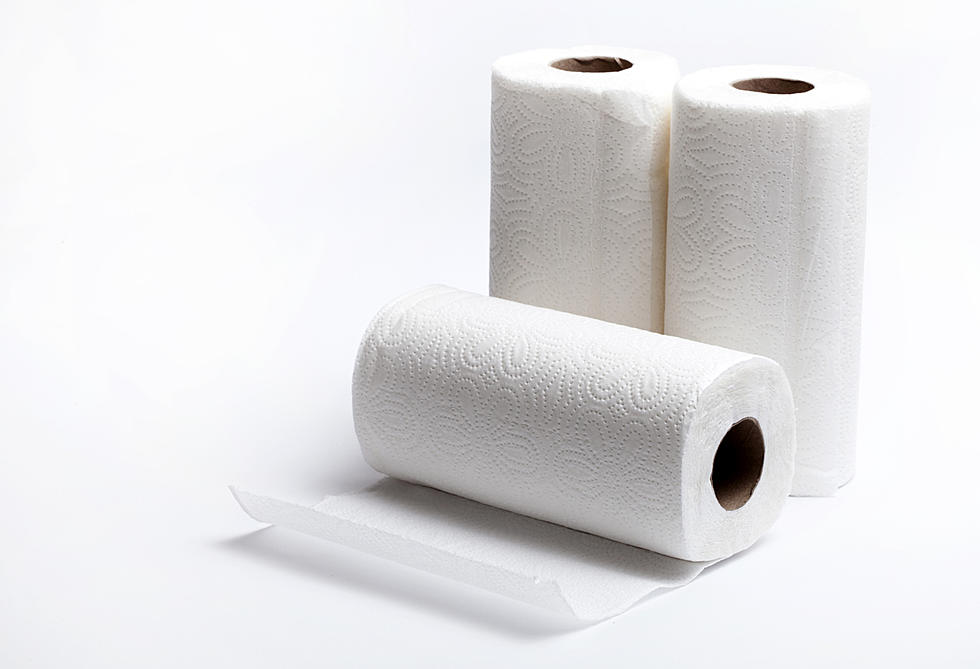 Startling! Massachutians Should Keep Paper Towels In The Fridge