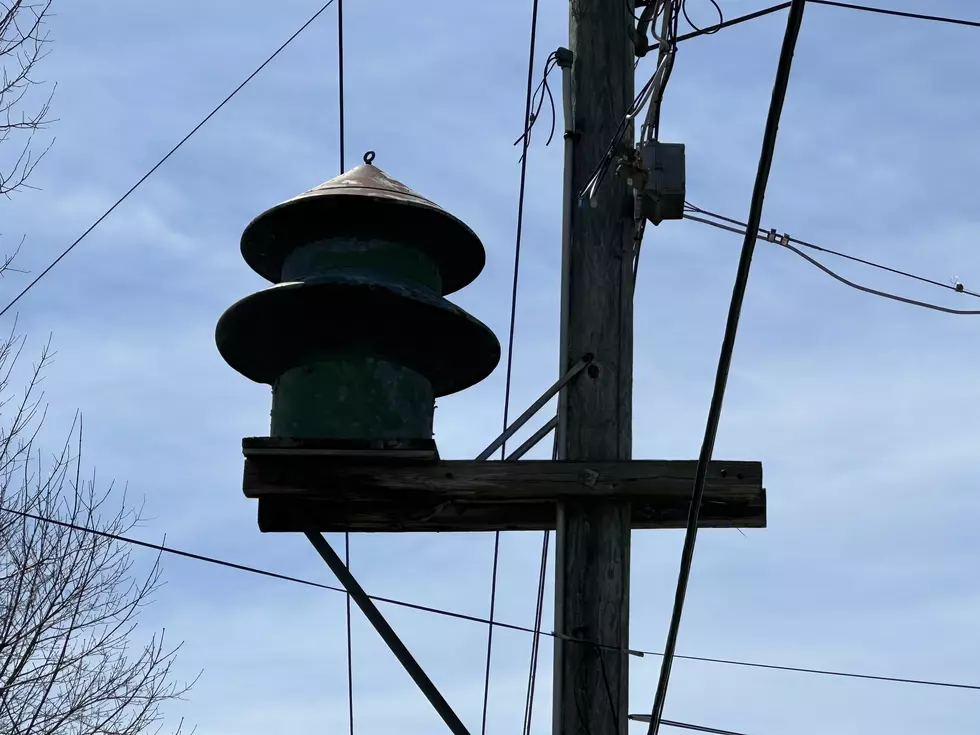 What Are These Cone Shaped Objects On MA Telephone Poles?