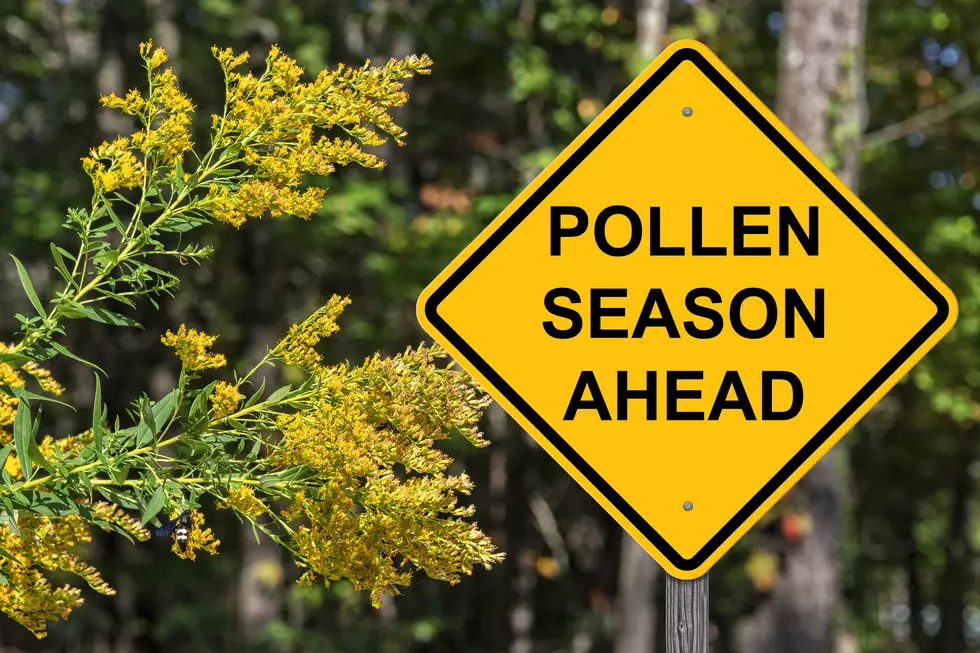 Massachusetts Allergy Sufferers Bracing for Brutal Season, Here’s Why
