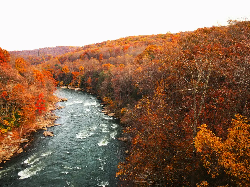 Say Hello To The Largest Landowner In Massachusetts