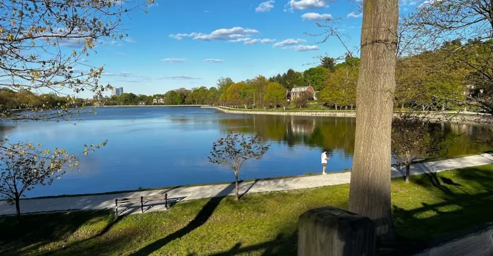 25 Best Places to Live in Massachusetts in 2024 