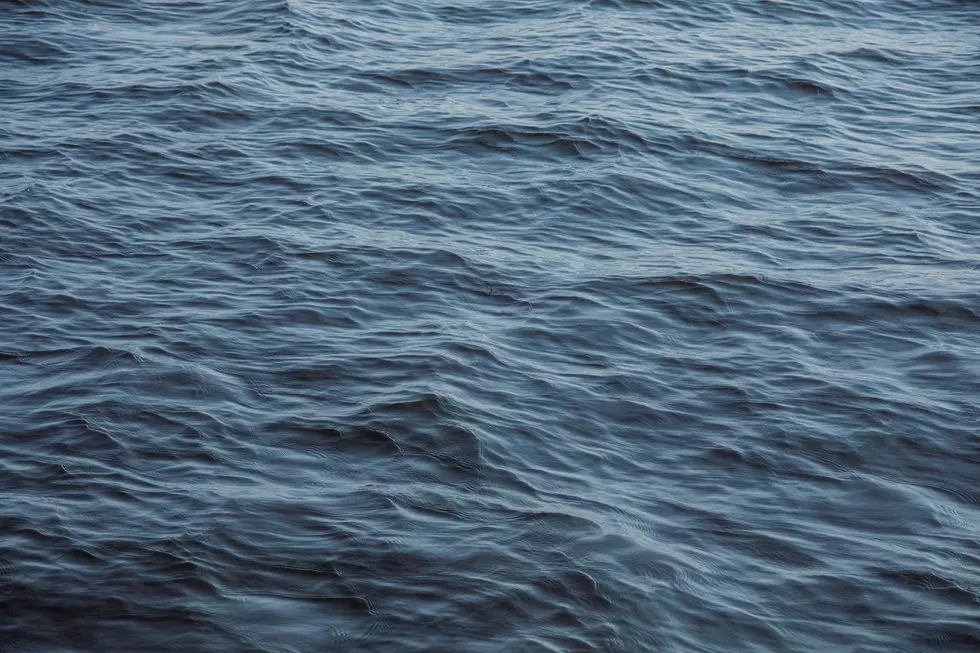 Massachusetts Lake is Filled With Tons of Snakes and Covers 39 Square Miles