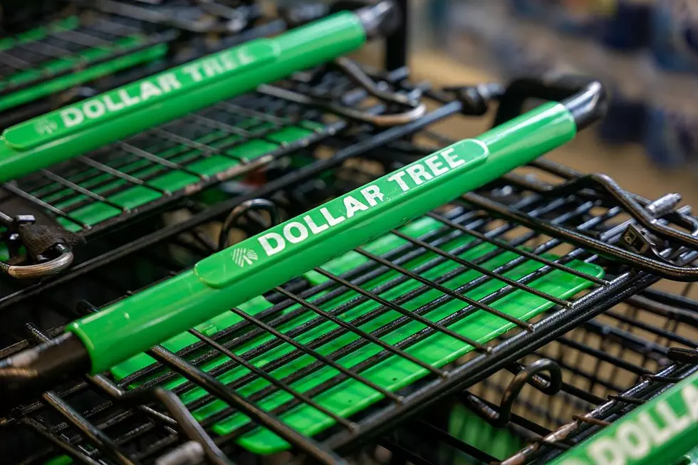 Are Any Berkshire Dollar Tree Stores Part of the Future Closures?