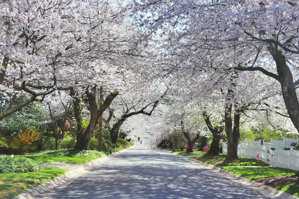 All 3 Best Neighborhoods To Buy A House Are In Western Mass.