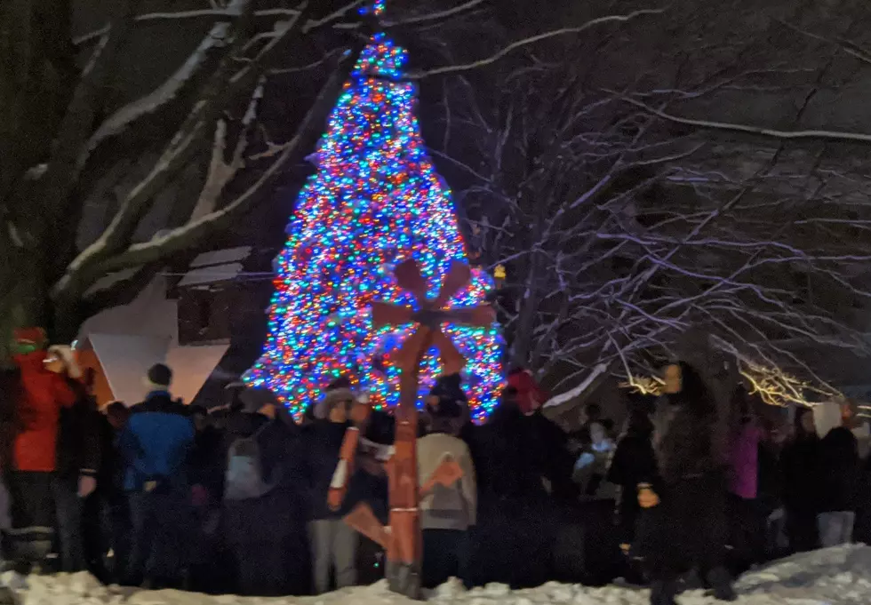 Pittsfield Tree Lighting Well Attended