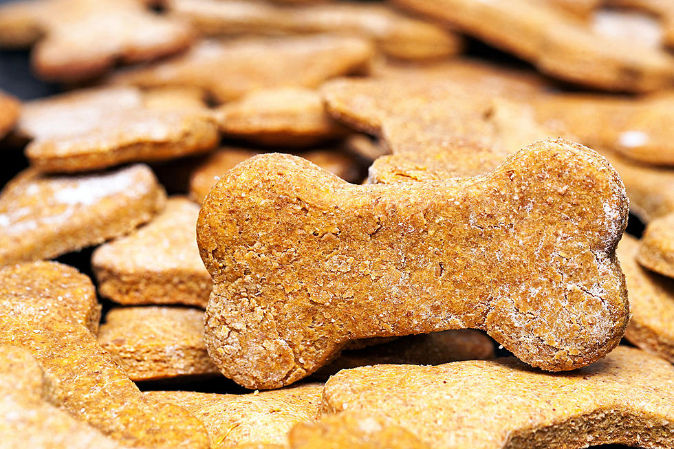 Beware! Massachusetts DPH Says These Dog Treats May Make You Ill