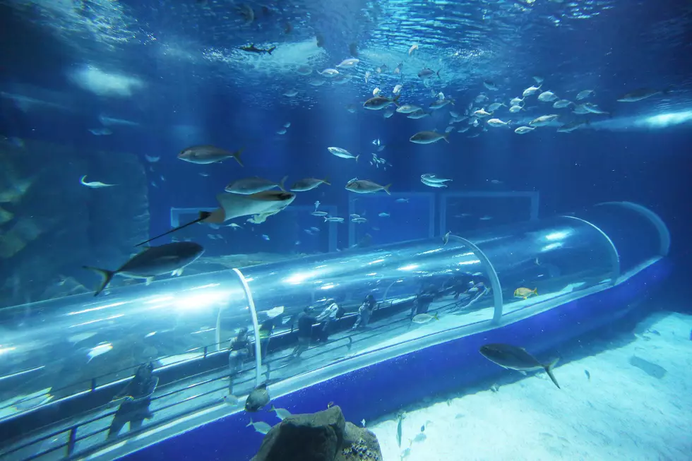 Have $200,000? Live Like A Bond Villain For A Week In A Luxury Villa With An Underwater Suite