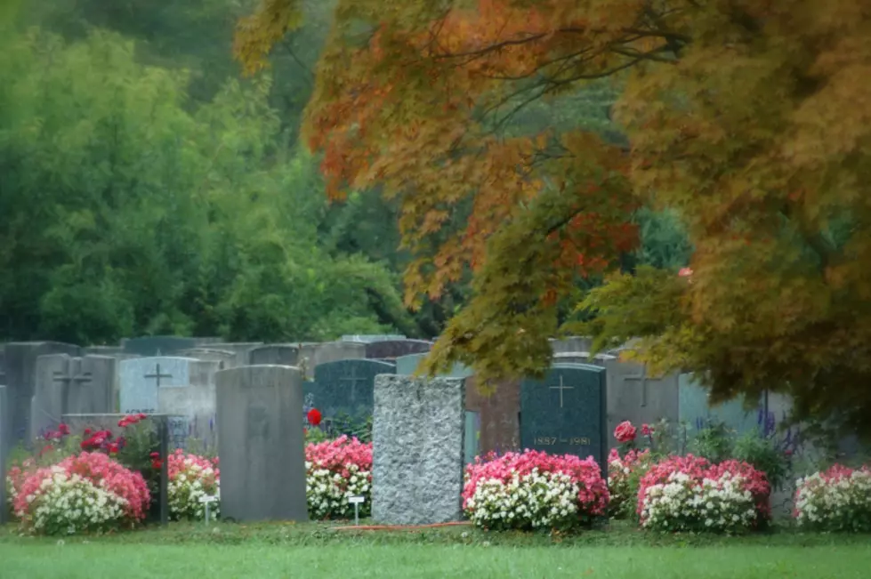 American Flags Destroyed at Williamstown Cemetery