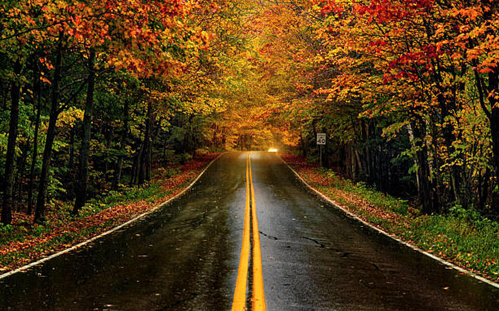 The Oldest Road In America For Fall Travel Is Here In MA.