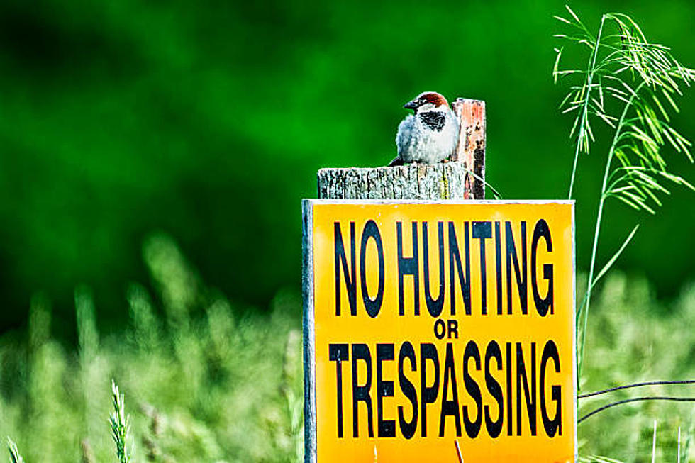 Massachusetts Towns That Prohibit Hunting