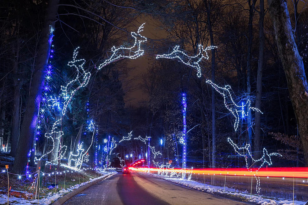 This Massachusetts Longest Drive-Thru Christmas Light Show Is A Must-See!