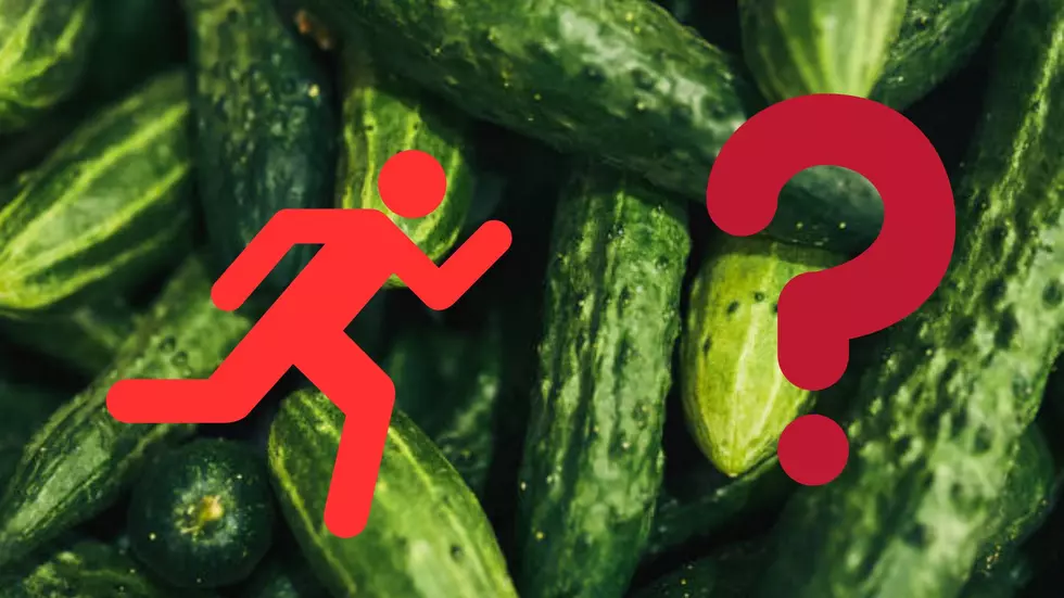 Massachusetts, If Your Yard Smells Like Cucumbers: RUN