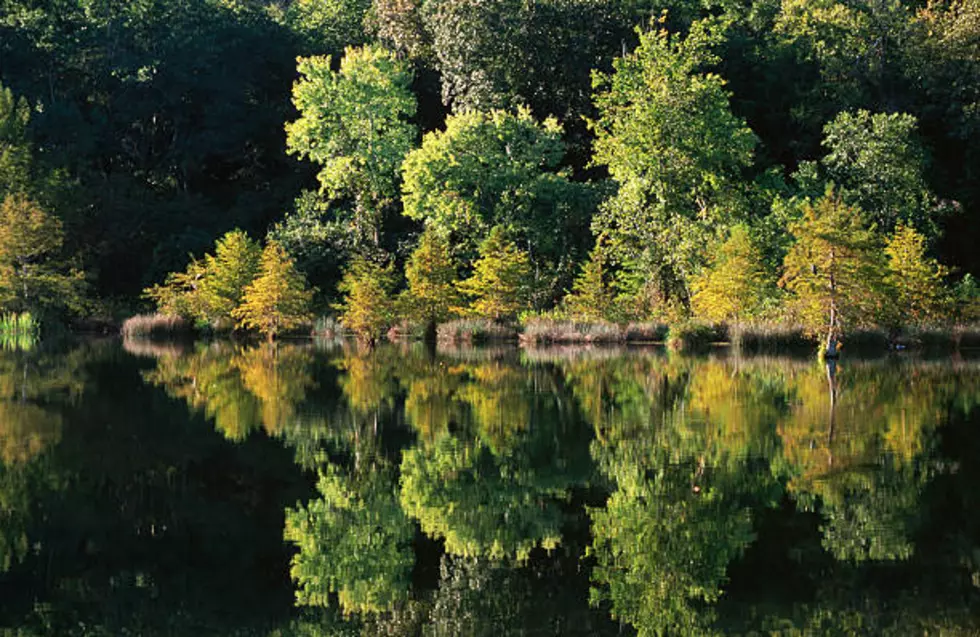 One Of America's Most Beautiful State Parks Is In Massachusetts