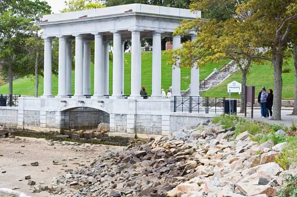 Why Plymouth Rock Still Pulls Crowds Even With Bad Reviews