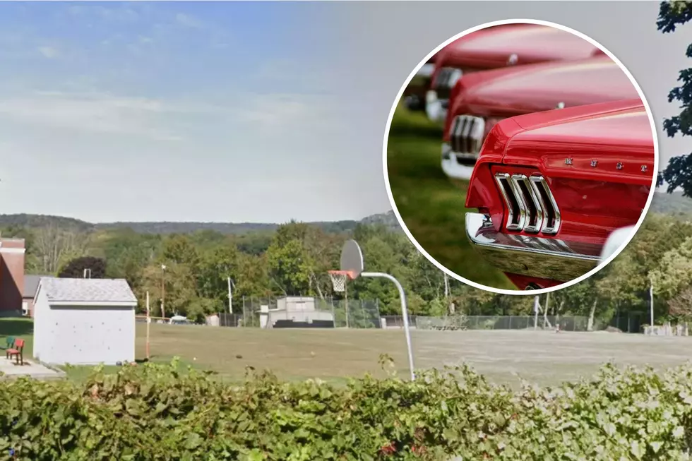 Cheshire Cruz Nite 2026, What To Expect At This August Car Show