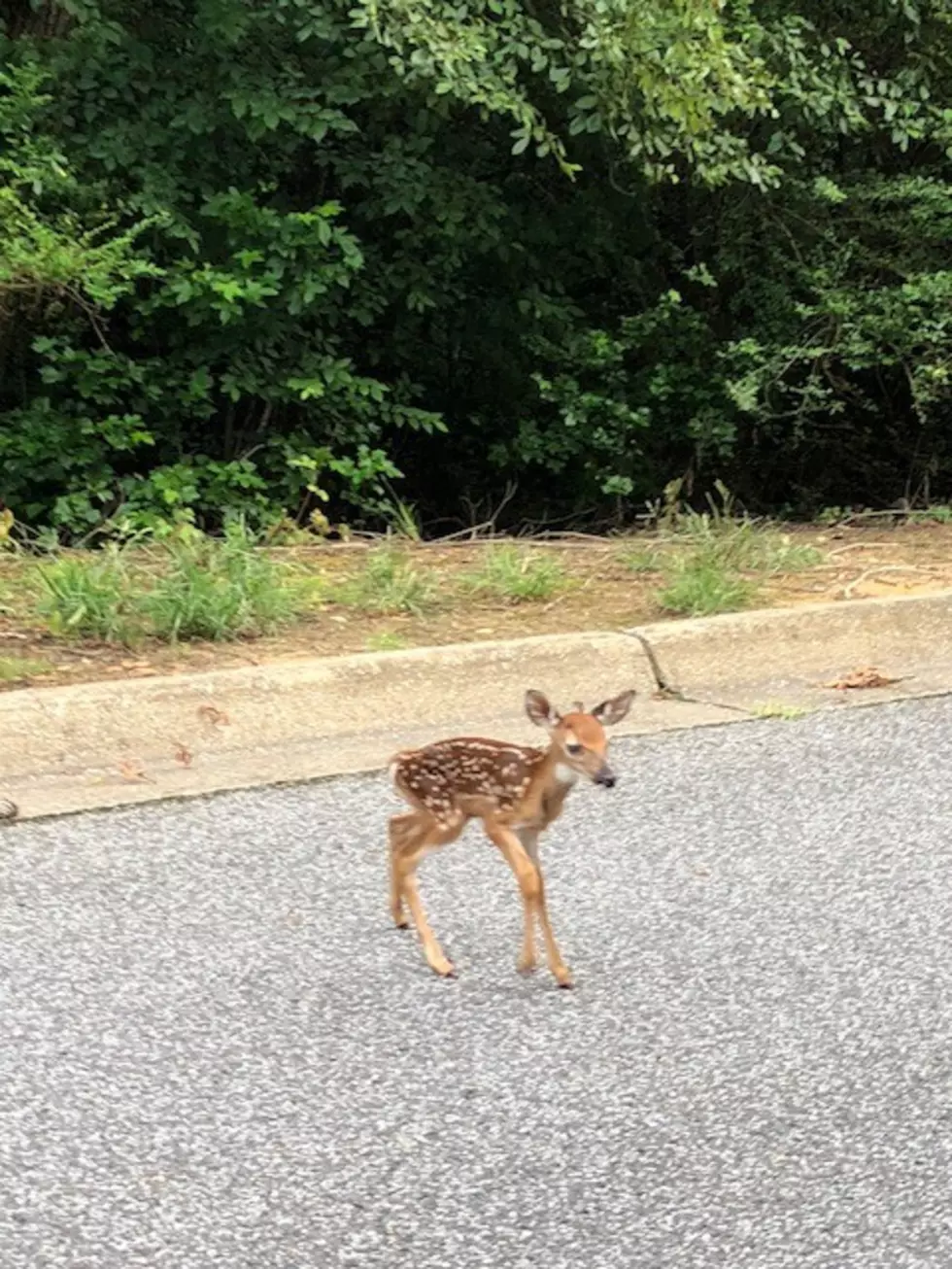 A Moment Of “Awww” For You