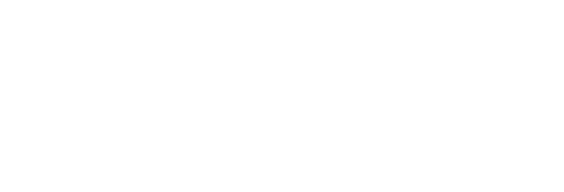 TSM Guest Writers