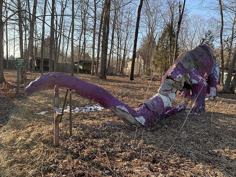 Inside the Abandoned Petrified Creatures in Richfield Springs