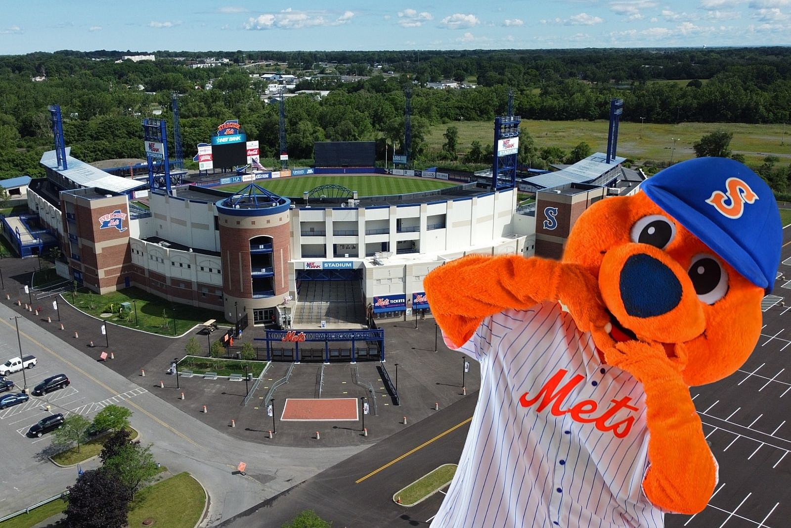 Syracuse Mets - It's Scooch Sunday! Do you have any