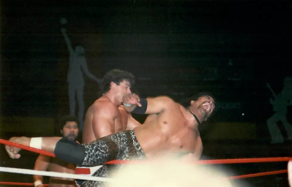 Major League Wrestling August 1988  Nwa wrestling, Wcw wrestlers, World  championship wrestling