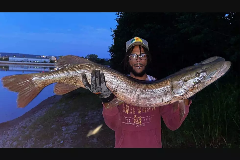 New Hartford Man Reels in Two Giant River Behemoths Just Days Apart