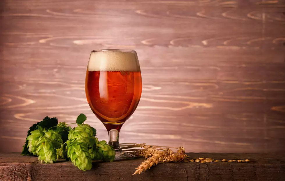 It&#8217;s National IPA Day! What Our Local Breweries Have on Tap Right Now