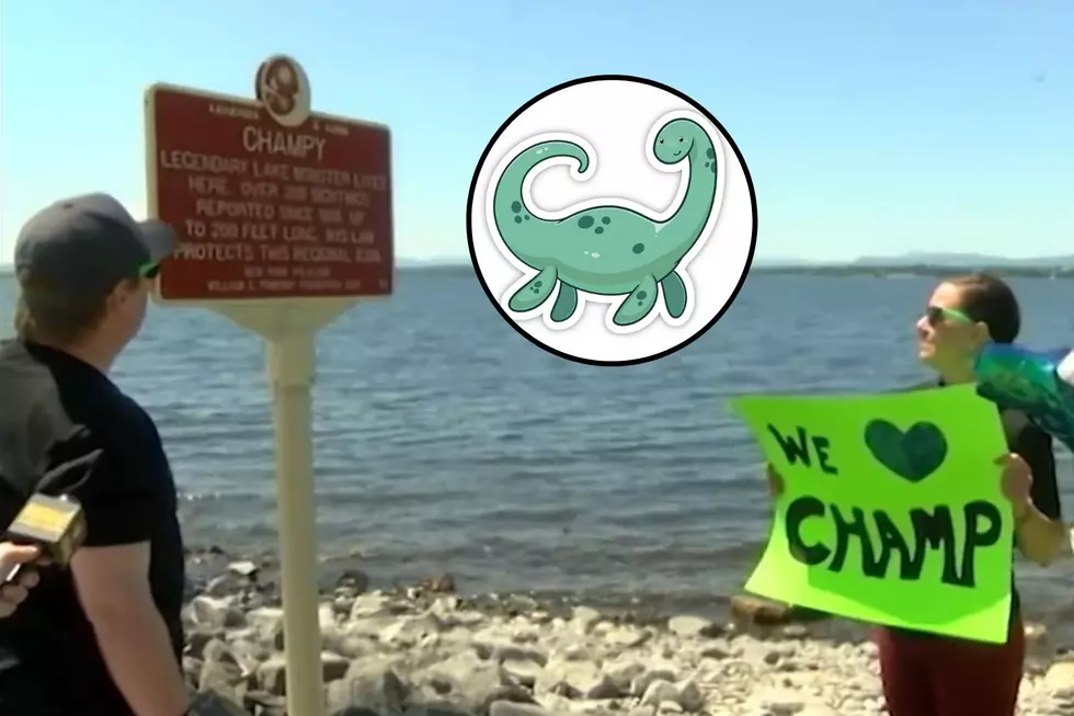 Historical Marker Sign Honoring Champy Was Stolen by Some Monster