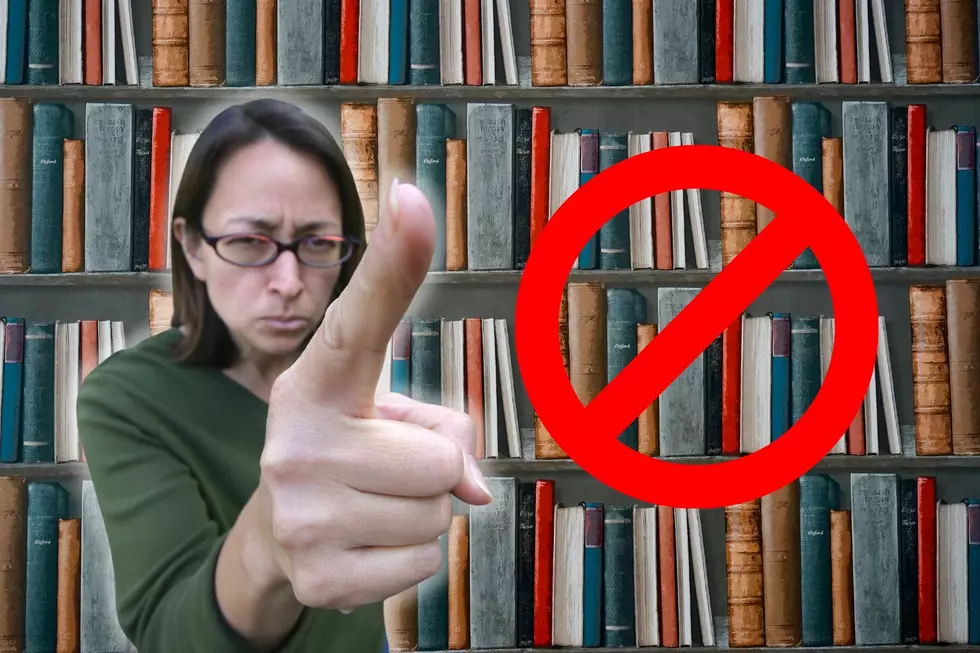 Are There Any Banned Books in New York? Plus One That Should Be