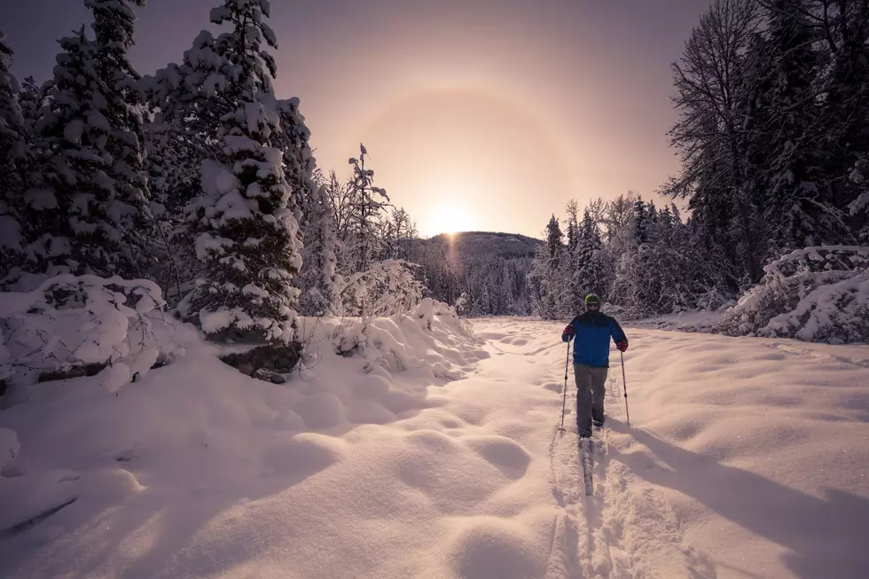 Take Advantage of 50 Miles of Free Cross-Country Skiing in CNY