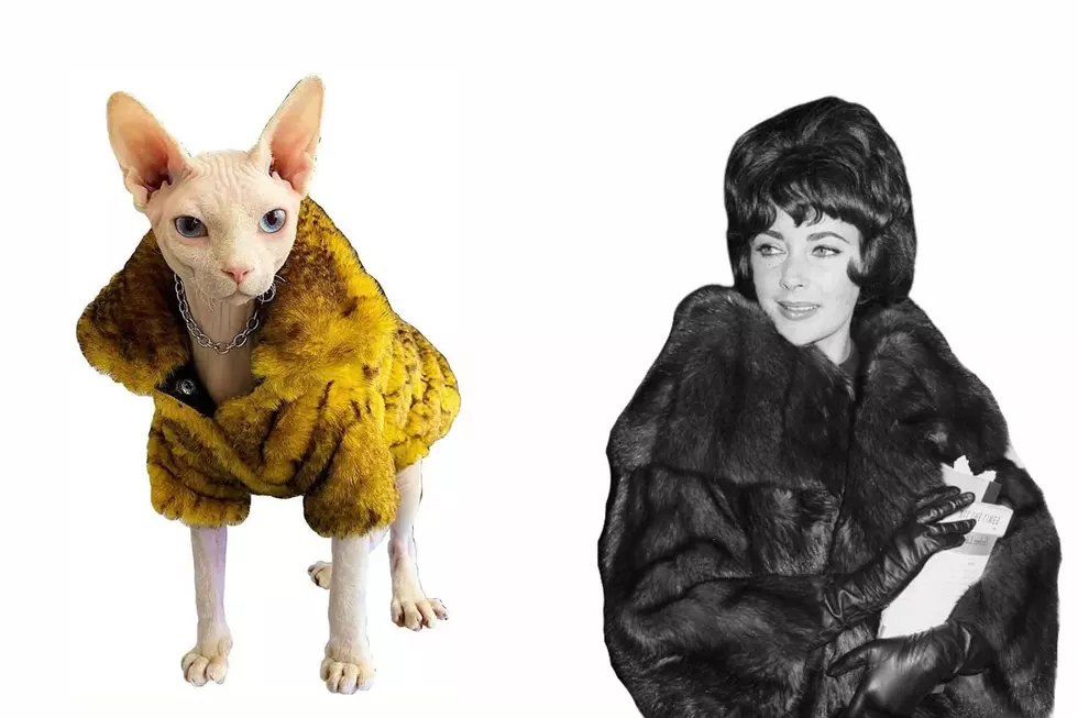 amazon.com / Getty Images