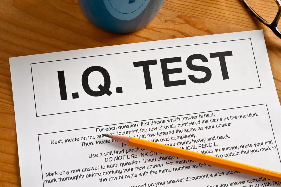 Are You Smarter Than a New Yorker? Study Shows Average IQ by State