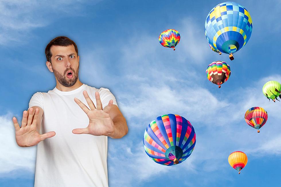 White Knuckle Flying: Would You Buy a Hot Air Balloon Off Marketplace?