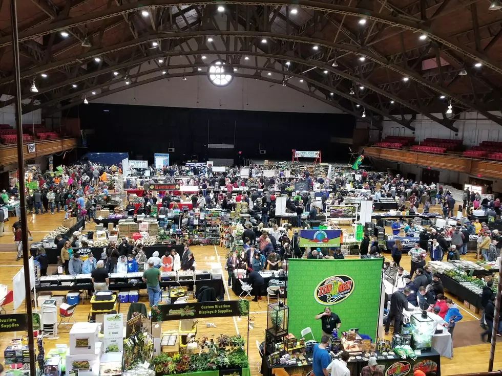 REXPO via Facebook