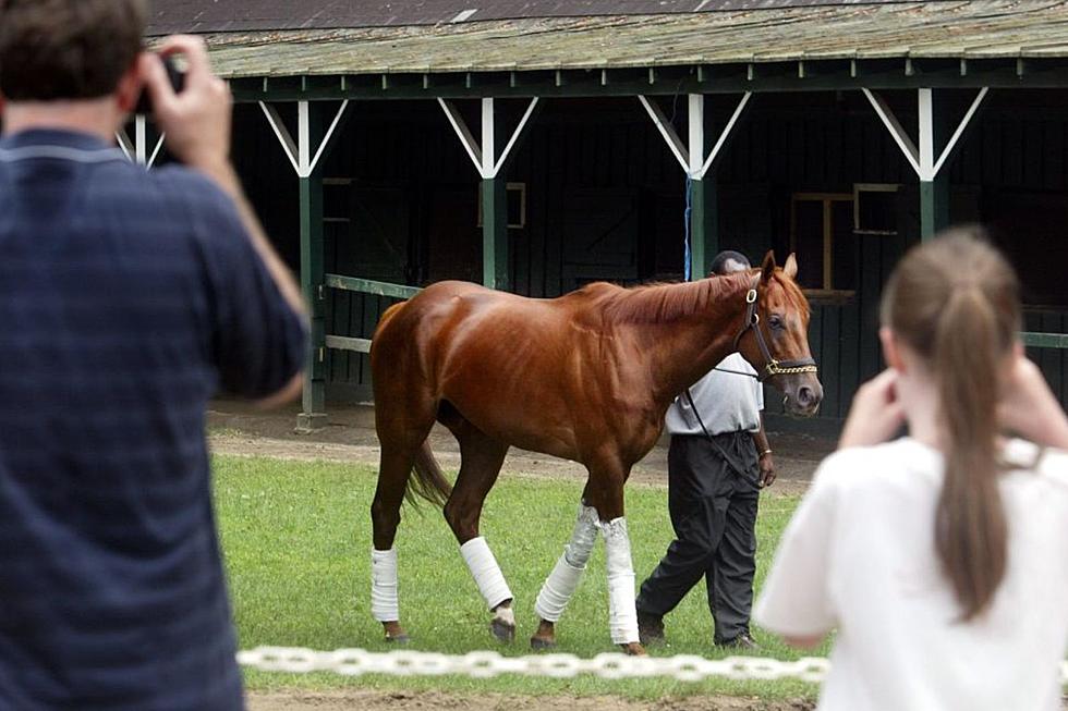 First New York-Born Horse to Win Kentucky Derby Passes Away