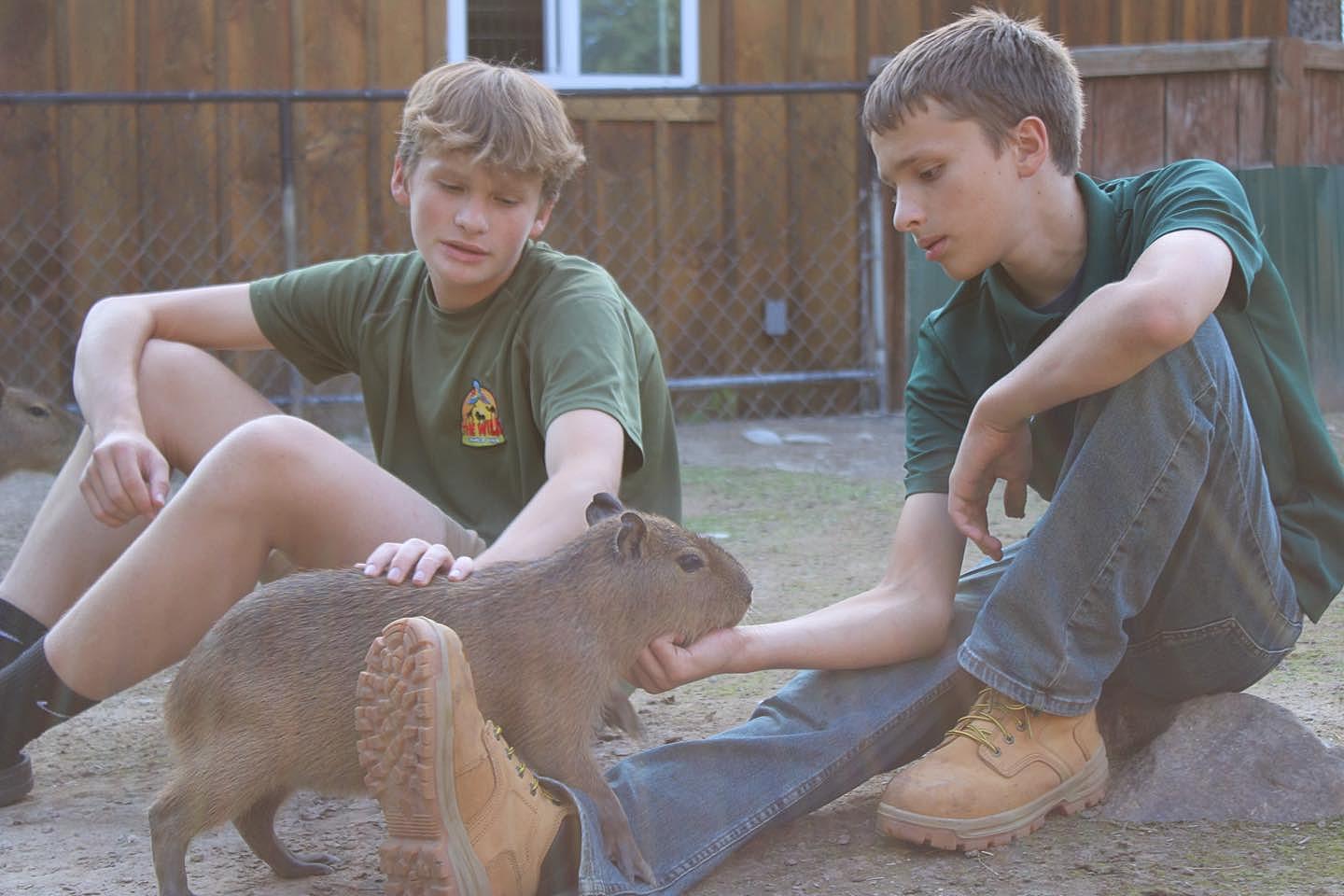 CNY Zoo Will Soon Let You Cuddle the World's Largest Rodent