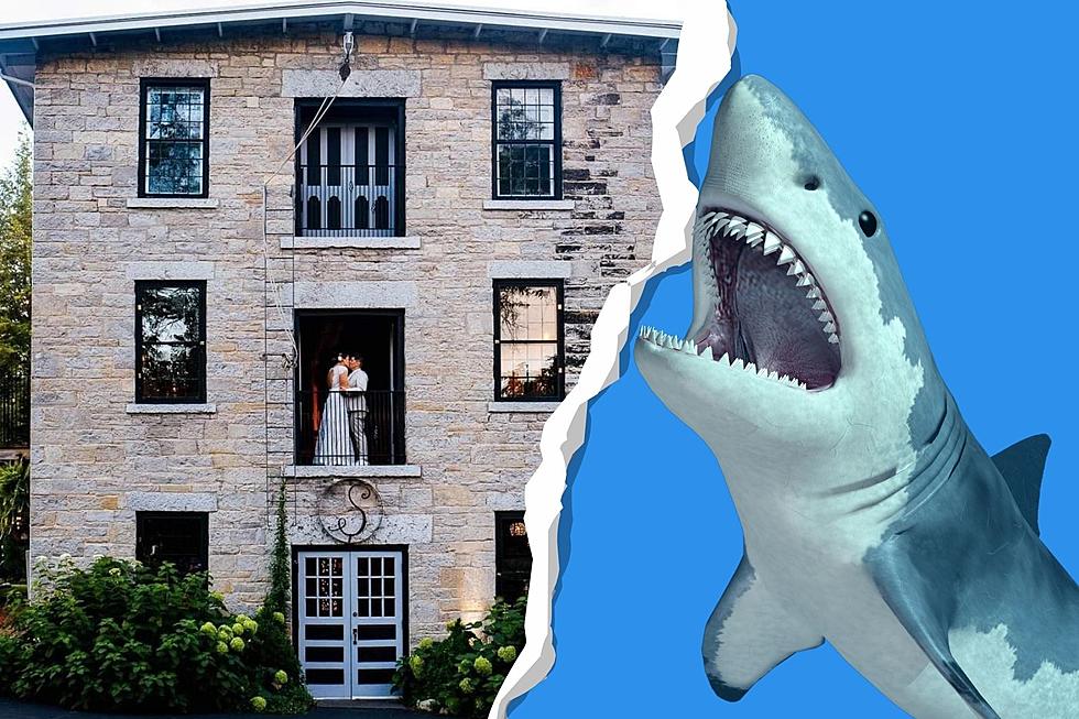 Angry NY Woman Blasts 'Jaws' Theme at Venue She Says is Too Loud